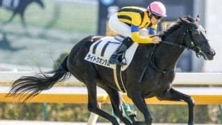 【シンザン記念前日オッズ】ライトクオンタムが2.6倍で1番人気