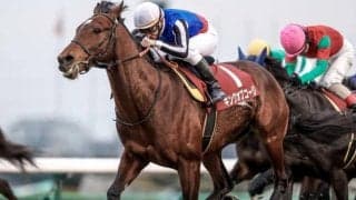 【JRA】キングオブコージが登録抹消 イーストスタッドで種牡馬に