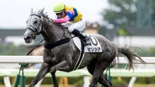 【新春S】2年ぶりの1400mで人気落ち…それでもセリシアを買う理由とは