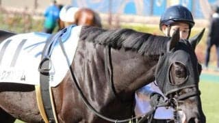 【今日の注目ポイント】中京で3歳マイル重賞のシンザン記念