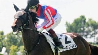 【シンザン記念予想】トーホウガレオンの完成度の高さに期待 少頭数でしっかり馬券にしたい一戦