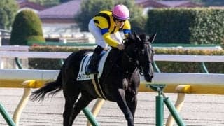 【シンザン記念・馬体重】ライトクオンタムは428kg(+2)、クファシルは486kg(-4)