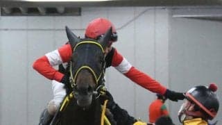 【JRA・WIN5】本日のWIN5は的中35票、配当1316万9410円