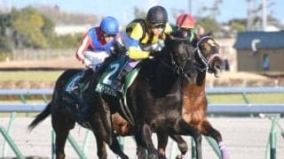 【シンザン記念結果】ディープ最終世代ライトクオンタムが無傷2連勝 武豊騎手はJRA重賞37年連続V＆350勝達成