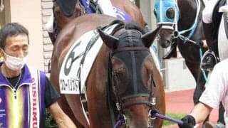 【月曜中京2R】前走は参考外！ 血統の後押しも受けてグローバリストが一変だ