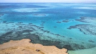 【ダカール・ラリー2023】特集　トヨタが狙う三菱以来となる日本勢連覇　最新ニュース一覧