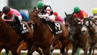 【淀短距離S】得意の季節到来だ！ キャプテンドレイクで高配狙い