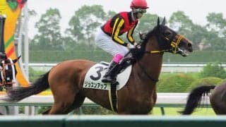 【月曜中京5R】休養効果でお利口さんに！ リッスンアップが真価発揮だ