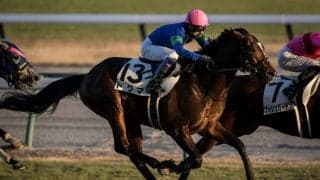 【中京12R】武豊 ドグマが鮮やかな差し切り