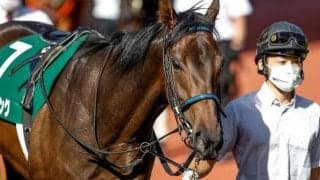 【今日の注目ポイント】中山で3歳牝馬重賞フェアリーS 中京でブエナビスタの娘がデビュー