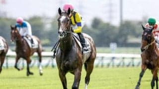 【フェアリーS予想】血統背景からも粗削りながら高い素質 クラシックを占う上で見逃せない3歳牝馬マイル重賞