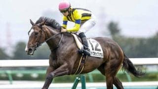 【フェアリーS 13時時点オッズ】ヒップホップソウルが4.1倍で1番人気