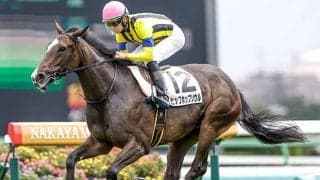 【フェアリーS・馬体重】ヒップホップソウルは492kg(-8)、エナジーチャイムは426kg(-2)