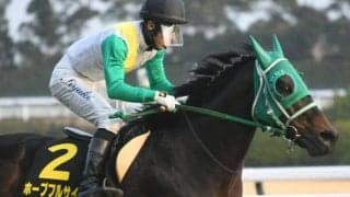 【JRA・WIN5】後半2レースが荒れて的中13票、配当は3393万2890円に