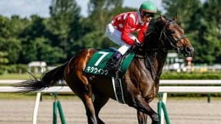 【フェアリーS結果】出走唯一の重賞馬キタウイングが内を突いて抜け出す