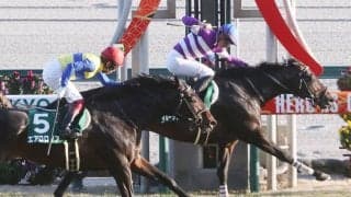 【京都金杯】岩田望騎乗、イルーシヴパンサーが重賞2勝目