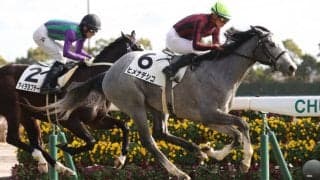 【新馬/中京5R】シルバーステート産駒 ヒメナデシコがデビュー勝ち