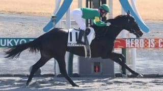 【新馬/中京4R】キタサンブラック産駒 タガノシャーンスが5馬身差圧勝