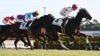 【新馬/中京6R】イーガン騎乗 ミッキーツインクルがデビューV