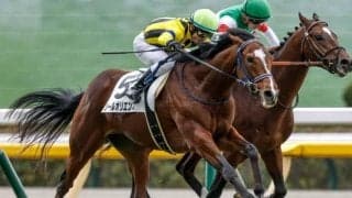 【京成杯】ソールオリエンス、シルヴァーデュークらが登録