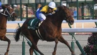 【愛知杯】ルビーカサブランカ、アートハウスらが登録