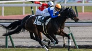 【新馬/中京6R】アルジーヌがデビュー勝ち…ブエナビスタの仔アルタビスタは4着