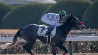 【中京1R】シュニー快勝で武豊騎乗機会3連勝