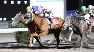 【高知・ベラトリックス特別】コパノフランシスが抜け出す/郷間「少し折り合いを…」