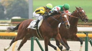 【京成杯登録馬】ソールオリエンスなど9頭