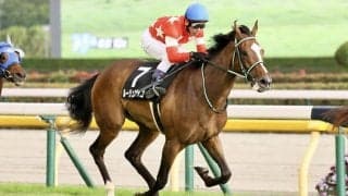 【愛知杯登録馬】ルージュエヴァイユなど16頭