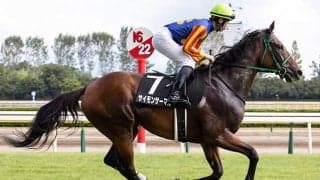 JRA全10場出走達成馬が登録抹消 今後は馬事公苑で誘導馬に