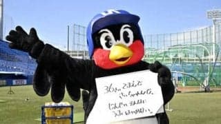 つば九郎の人生相談「35歳手前で転職に失敗。前向きになるにはどうすればいい？」