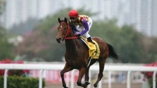 シーイズトウショウが死亡 06年セントウルSなど重賞5勝