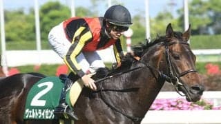 【日経新春杯想定騎手】ヴェルトライゼンデはD.イーガン騎手、ロバートソンキーは伊藤工真騎手