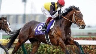 カフェファラオ わずかダート2戦でタイトル奪取！ クロフネ以来2頭目