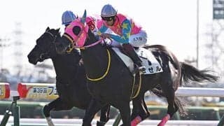 簡単に獲れるワンツー万馬券があった!? シルバーステート産駒の狙い所を発見！