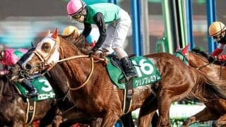 またまた人気薄で激走！ クリノプレミアムを買えなかった人は読んでほしい！