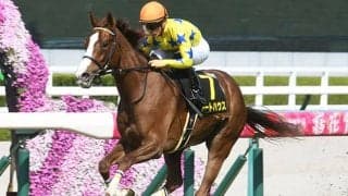 【愛知杯想定騎手】アートハウスは川田将雅騎手、マリアエレーナは松山弘平騎手