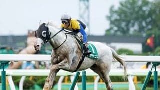 白毛の7歳馬 6年連続勝利＆5年連続オープン勝ちなるか