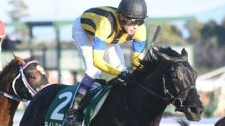 “種牡馬ディープインパクト”の能力を改めて実感したシンザン記念