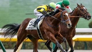 【京成杯想定騎手】ソールオリエンスは横山武史騎手、シャンパンカラーは戸崎圭太騎手