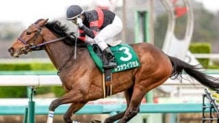 【愛知杯展望】波乱必至の牝馬ハンデ重賞、距離短縮組が優勢