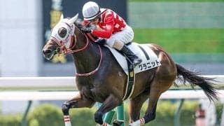 京成杯は大駆けに要注意！ マイナー産駒が高配提供か