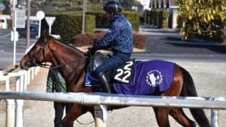 オープンファイアなど、先週の入厩情報/栗東トレセンニュース