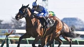 ミッキーアイル産駒は性別に注目！ 初芝のニジュウダンサーが“買い”だった理由とは？