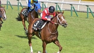 前走4着でどうして13番人気!? トキメキの複勝14倍は買える馬券だった！