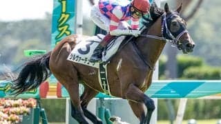 中山で生きる「ザ・ロック」の血 京成杯はシルヴァーデュークに注目だ