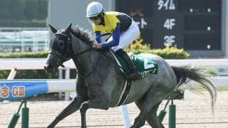 マリアエレーナは56.5kgを克服できるか 勝てば愛知杯13年ぶりの“酷量V”