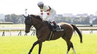 アグネスフライトの血を引くJRA現役馬は5頭 出世頭はホッコーアカツキ