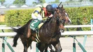 ヴェルトライゼンデが日経新春杯で目指す16年半ぶりの“偉業”とは？